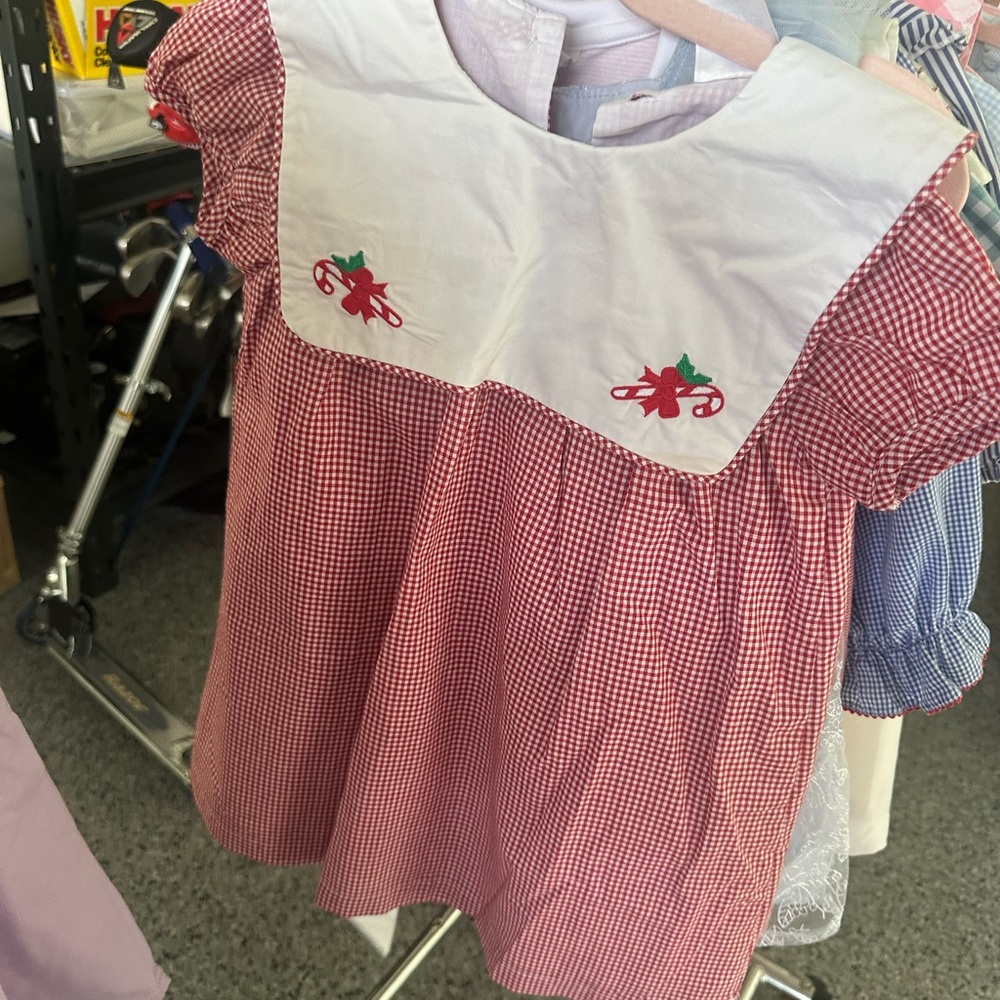 Red Gingham Dress with Embroidered Collar